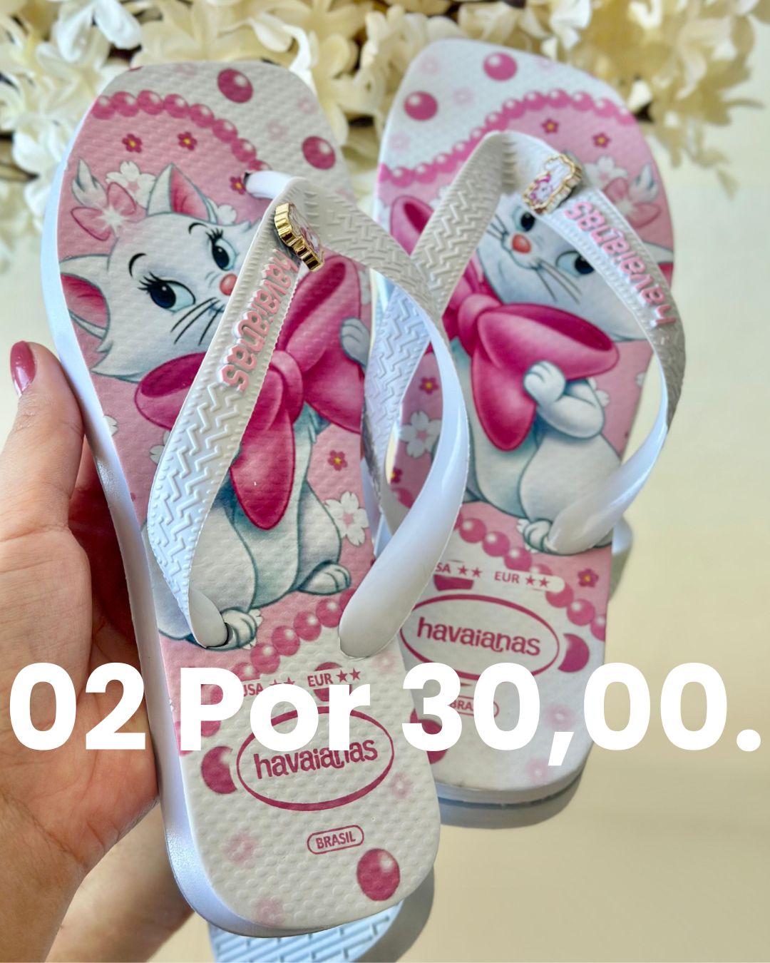 Chinelo promoção 2 por 30 modelo 18
