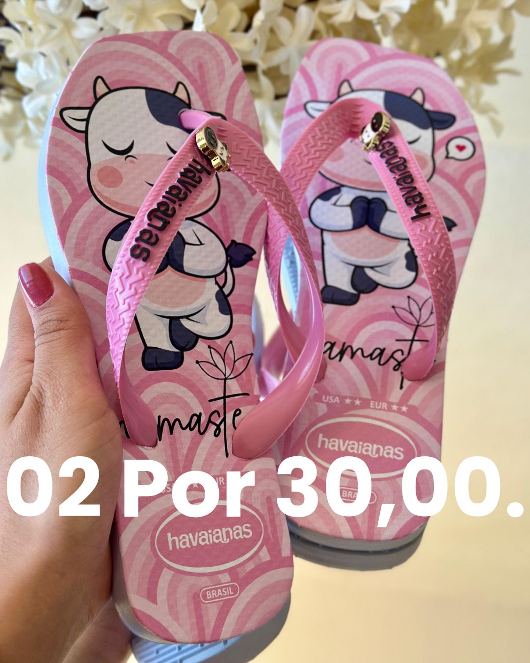 Chinelo promoção 2 por 30 modelo 19